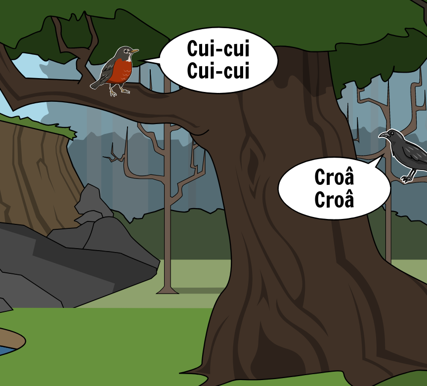 BD Amaroks - L'orage - Case 03