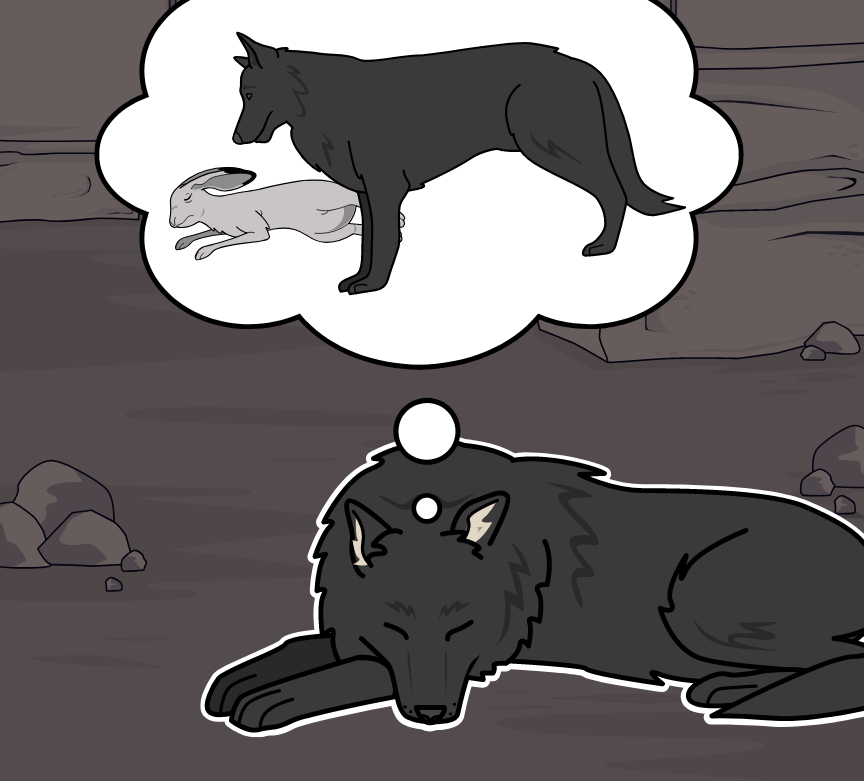 BD Amaroks - L'orage - Case 07