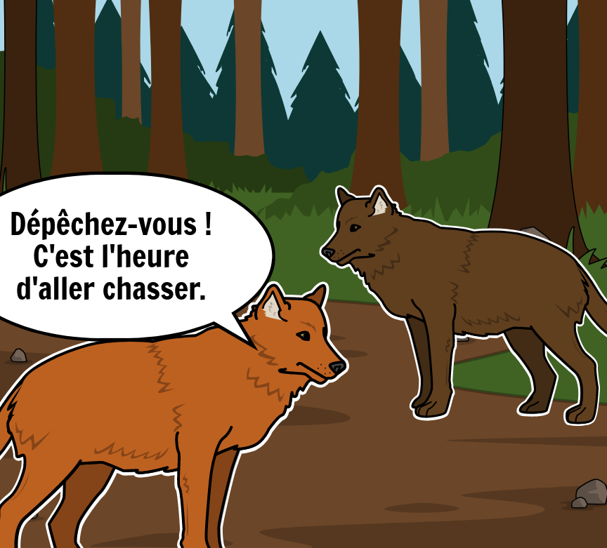 BD Amaroks - L'orage - Case 13