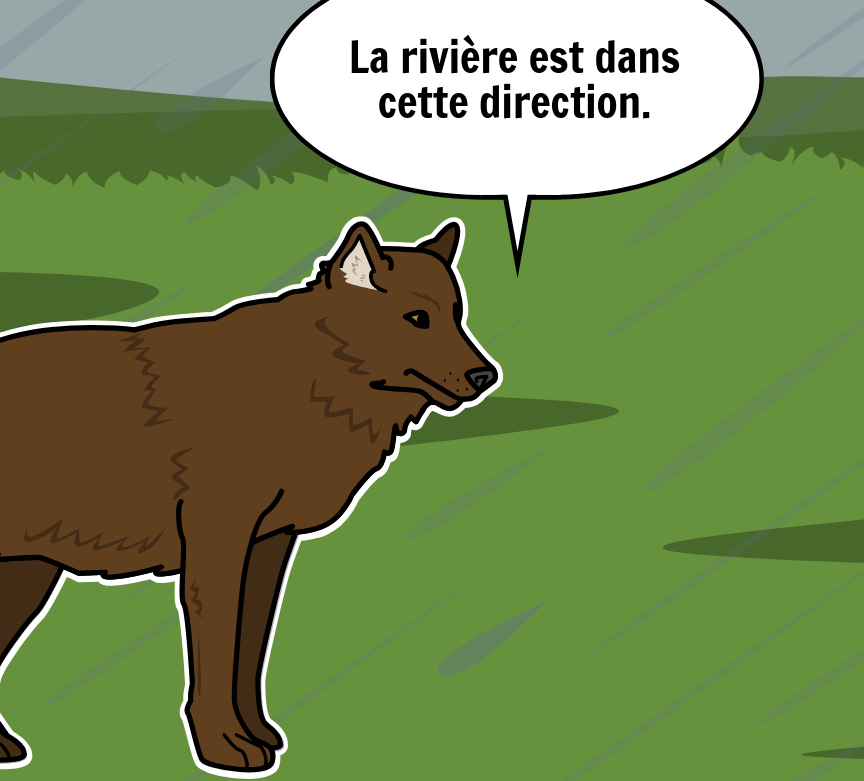 BD Amaroks - L'orage - Case 25