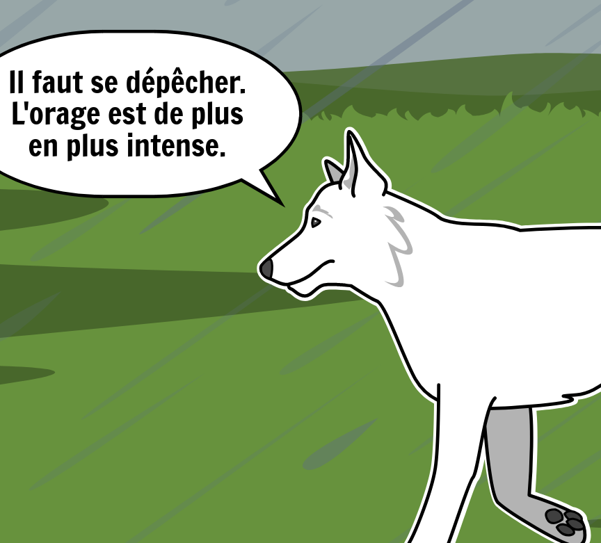 BD Amaroks - L'orage - Case 26