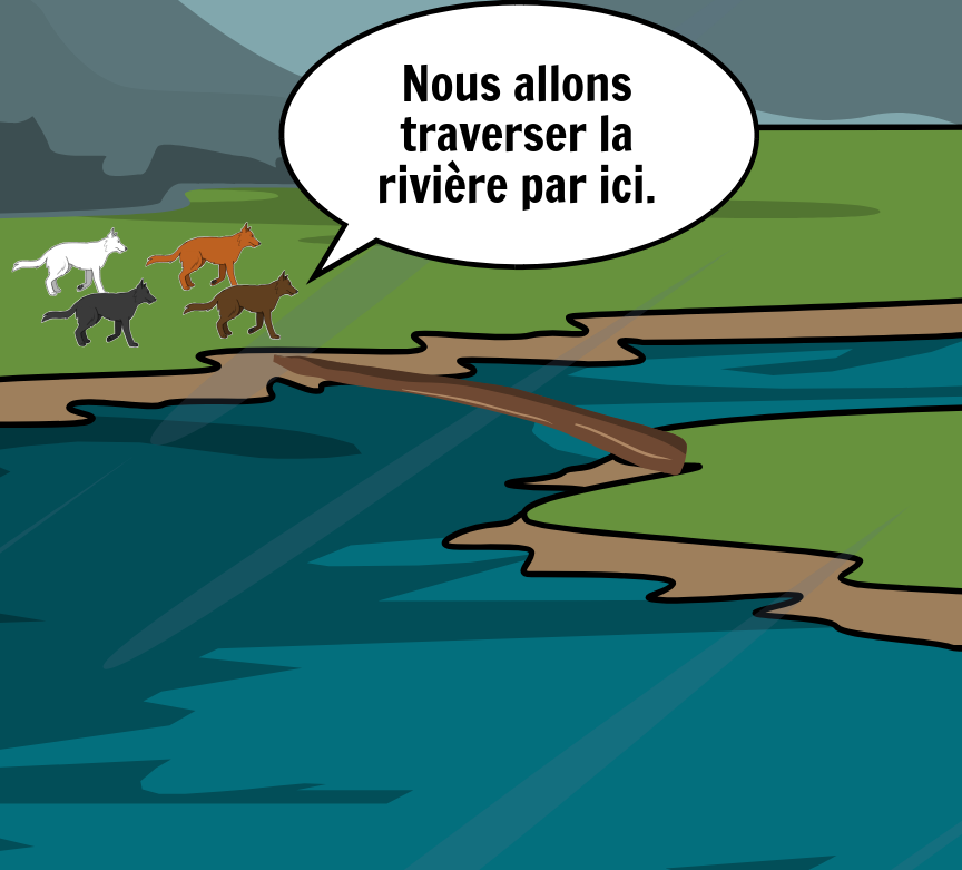 BD Amaroks - L'orage - Case 31