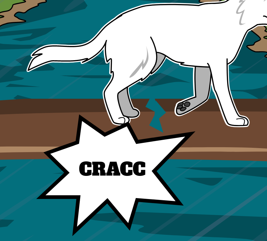 BD Amaroks - L'orage - Case 33