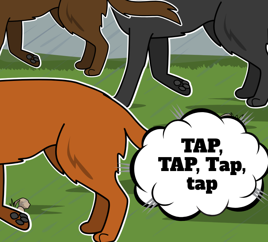 BD Amaroks - L'orage - Case 44