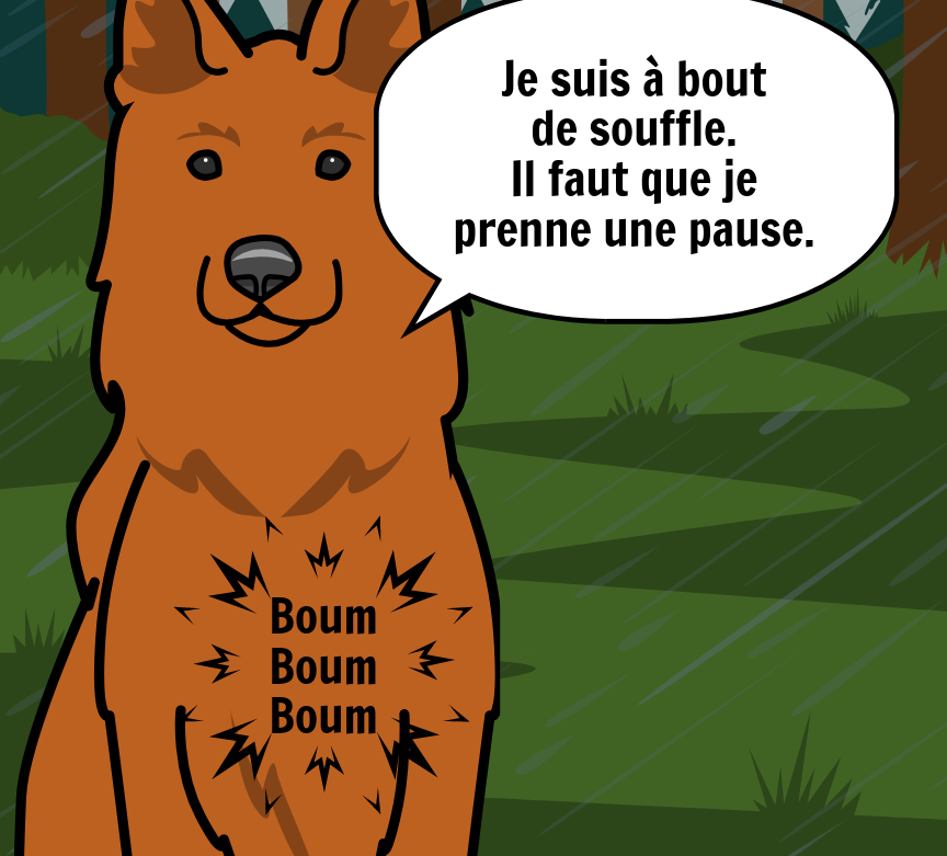 BD Amaroks - L'orage - Case 45