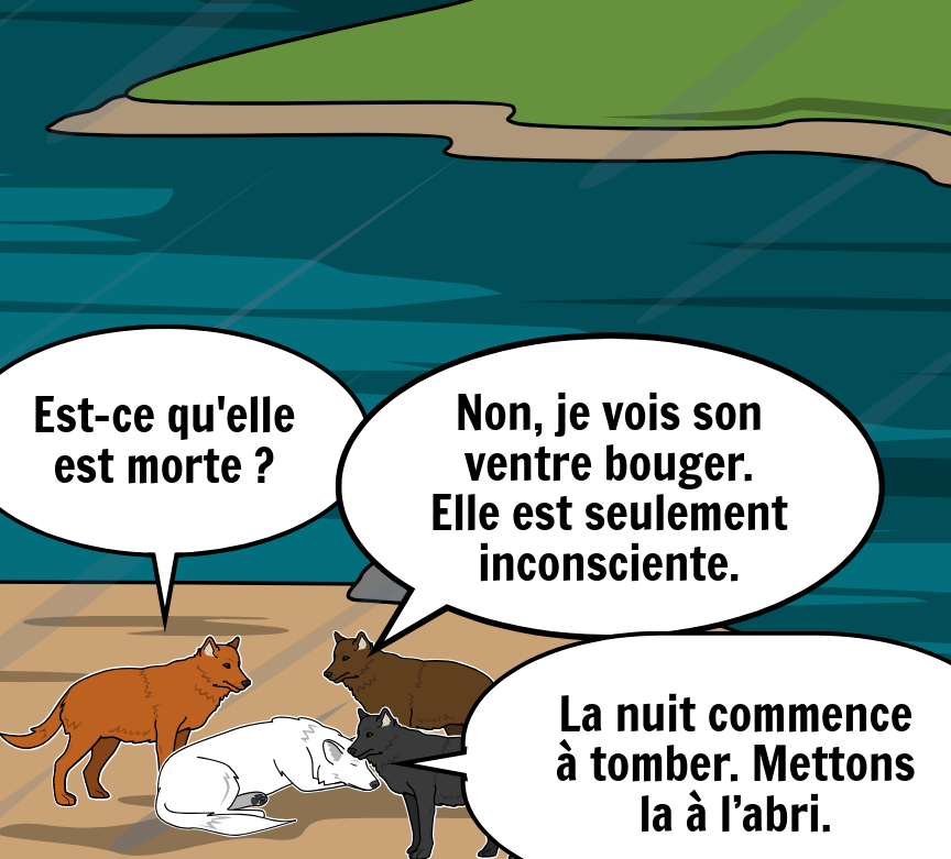 BD Amaroks - L'orage - Case 50