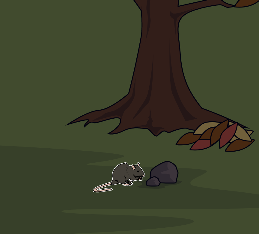 BD Amaroks - L'orage - Case 56